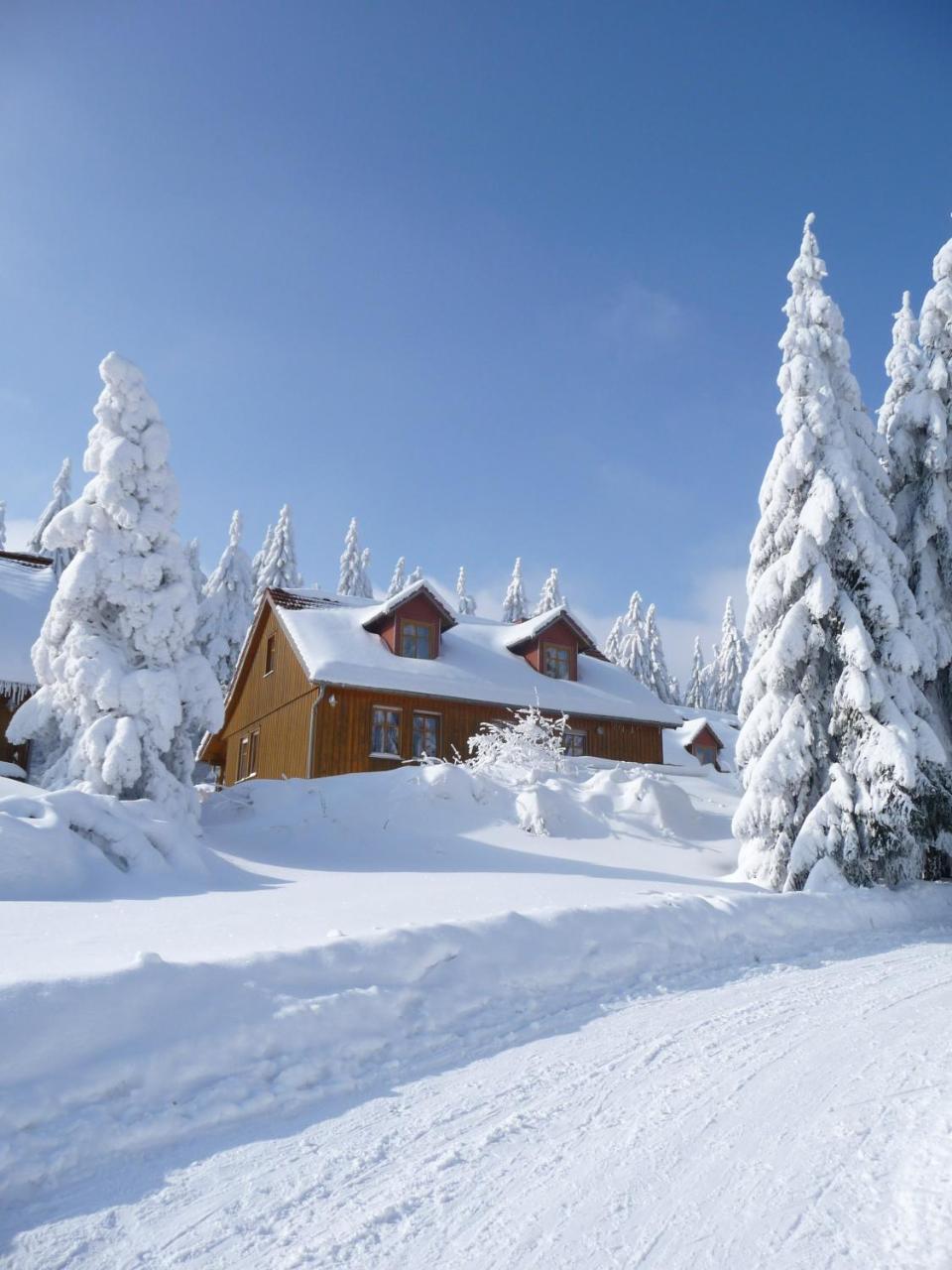Hotel Und Berggasthof Spiessberghaus 프리에드리치로다 외부 사진